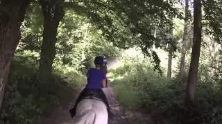 Bois de Lessines