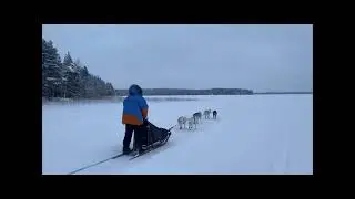 Rovaniemi, Lapland, Finland - Private 10km Husky Tour - Xmas Day 2023