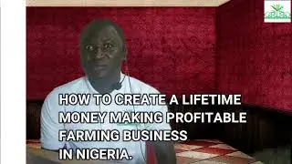How to create a sustainable income in Nigeria through agricultural plantain plantation investment