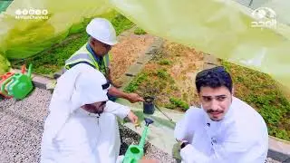 كيف تمر العملية الزراعية بمراحل الزراعة والإنبات، ثم العناية بالشتلة، ونقلها إلى الأرض الدائمة!