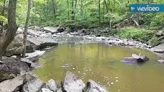 Grimsby ON 40 Mile Creek Bruce Trail Beamer Conservation Area