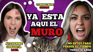 👉MUJERES POST MURO ENOJADAS PORQUE LOS HOMBRES YA NO LAS BUSCAN | (RECOPILACION)