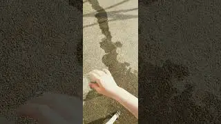 How much water will condom hold? #survivalhacks #shorts