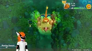 A Small Step into the Forest!   Pokémon Mystery Dungeon Rescue Team DX Stream 25