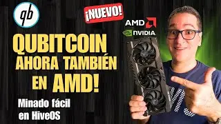 C&oacute;mo Minar Qubitcoin (QTC) en HiveOS con AMD y NVIDIA [F&aacute;cil y Actualizado]