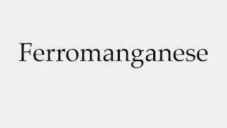 How to Pronounce Ferromanganese