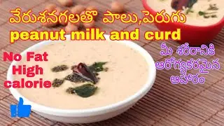 Make Thick Peanut Curd Every time without Fail-Vegan Curd-Peanut Curd at Home-Cheap n Best in telugu