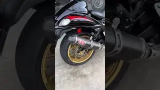 Suzuki Hayabusa 1300 CC Closed Review #suzuki #1300cc #hayabusa1300 #automobile #viralshorts