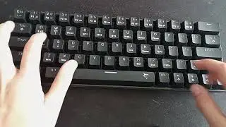 unboxing white shark Kaikan