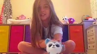 My beanie boo/squeezamal collection