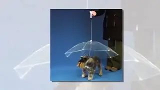 Waterproof Clear Cover Pet Umbrella