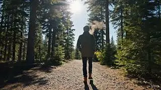 Quiet Moments in Canada 🇨🇦 | Cinematic Travel