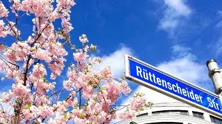 RU Business Apartments & Suites | Essen, Germany | Hotel Review 🏨