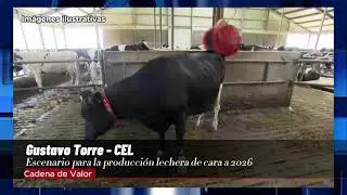 ¿Cómo cerraron el año los productores lecheros?