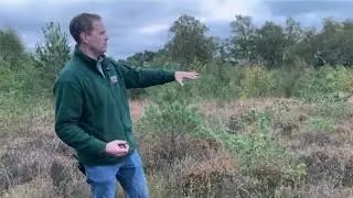 A Guide to Winter Works on Ashdown Forest