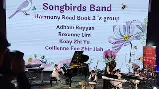 Songbirds Band [A Magical Childhood Adventure Music Concert] Age 5 Harmony Road Book 2 group