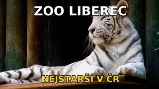 🌿 ZOO Liberec &ndash; nejstar&scaron;&iacute; zoologick&aacute; zahrada v Česk&eacute; republice