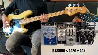Jad Freer CAPO, Origin BASSRIG, CALI 76, DCX Bass w Precision Bass - BASS PILLS