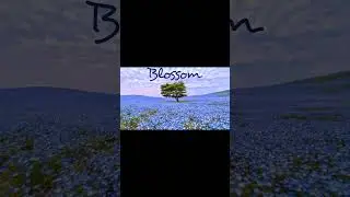 Blossom #cool #blossom #flowers #song #music #lofi #blowup #shorts #cool #flower #tree #views #viral