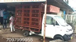Mahindra Jeeto +, poultry carrier , chicken cage