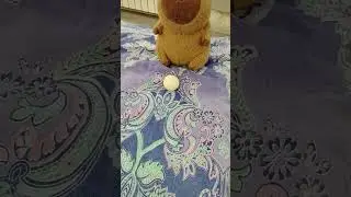 ЛаЛига 20 тур 25/26 Реал Мадрид-Леванте