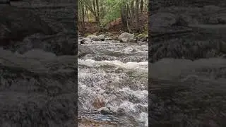 Down by the River.... #inspiration #motivation #relaxing #river #mountains
