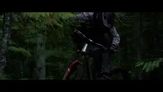 Bas van Steenbergen // Baconator