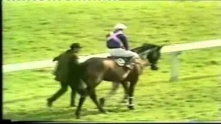1981 Cheltenham Gold Cup Extended footage