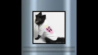 Custom Pet Hoodie - Small Breed Personalize Picture or Text Photo Hoodie Dog Hoodies Pet Clothing...