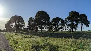 Algérie 🇩🇿 ( أجمل مناظر طبيعية في الجزائر ( ولاية سعيدة
