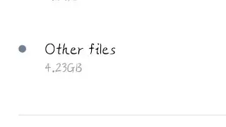 Others Storage clean in mobile memory