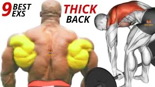 15 STRONGEST BACK EXERCISES IN THE GYM TO HAVE A THICK BACK