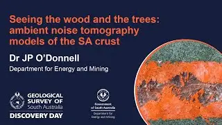 Discovery Day 2021: Seeing the wood and the trees: ambient noise tomography models of the SA crust