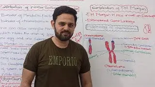Chromosome and DNA | Chromosomal Theory of inheritance | Part 2 | FBISE | NBF | Class 11