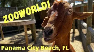 Zoo World, Panama City Beach, FL March 2022