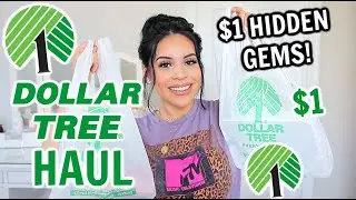 DOLLAR TREE HAUL! Amazing $1 Hidden Gems 🤑