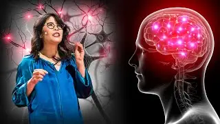 DR. Wendy Suzuki: The brain-changing benefits of exercise