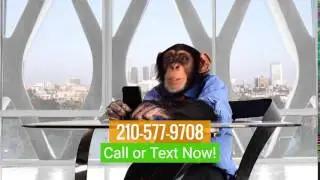 Great Car Deals! No Monkey Business!