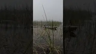 Fishing Okeechobee ALONE&hellip; They Warned Me Not To 😳 #crappiefishing