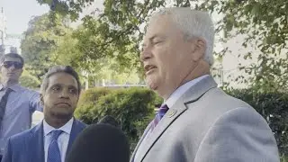 WATCH: US Representative James Comer on Epstein's birthday book and Trump