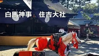 白馬神事　住吉大社　2026年1月7日