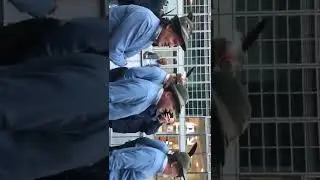 Alpini  a milano  2019 .