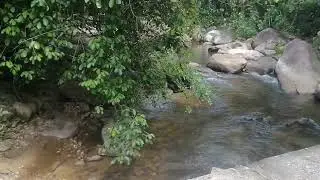 River @ Narangala #naturelovers #beautiful #nature #rain #waterfall #bath #bathing