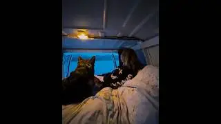 Camping with my dog on Vancouver Island🚐 📸 capturing the best moment. #vanisle #campinglife #dogs