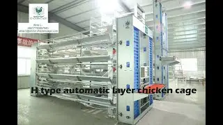 Automatic H type layer cage system