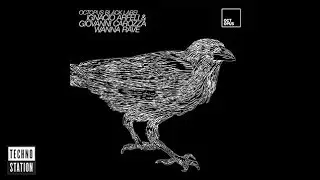 Ignacio Arfeli & Giovanni Carozza - Detroit Lover | Octopus Black Label