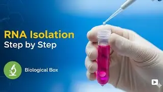 RNA Isolation Step by Step | CSIR NET | GATE | NEET