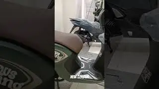 NEW GENIO 2023 | MATTE GREEN
