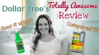 Dollar Tree's TOTALLY AWESOME Rust, Lime & Calcium Remover | Dollar Tree Product Review
