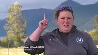Alaska Animal Rescue returns for Season 2 on Nat Geo Wild!